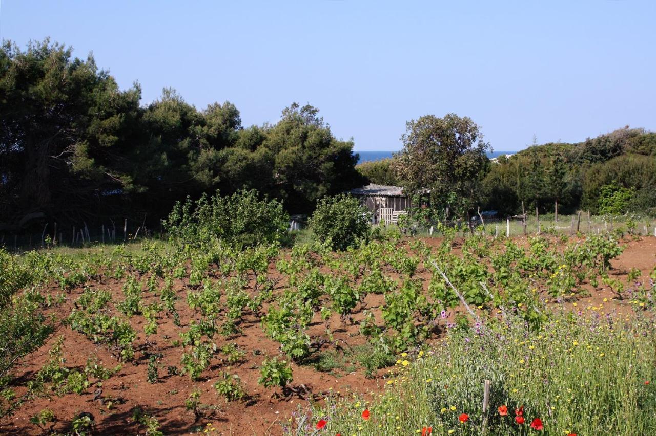 Apartments By The Sea Cove Blaca, Mljet - 4899 Saplunara Bagian luar foto